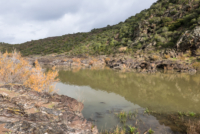 Dans la région de Mértola