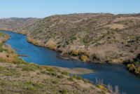 Dans la région de Mértola