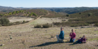 Dans la région de Mértola