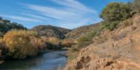 Dans la région de Mértola