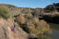 Dans la région de Mértola