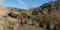 Dans la région de Mértola