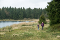Parc du Harz