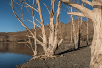 Haut-Atlas, lac de Tislit // Maroc