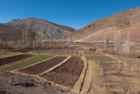 Haut Atlas, entre Imilchil et Igli