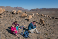 Haut Atlas, entre Imilchil et Igli
