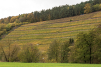 Entre Würzburg et Heidelberg 