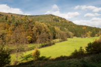 À l'est de Heidelberg 