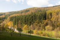 À l'est de Heidelberg 