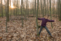 Bivouac en forêt près de Wilhelmsfeld