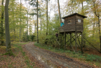 Bivouac en forêt près de Wilhelmsfeld
