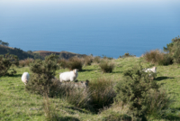 Massif du Jaizkibel