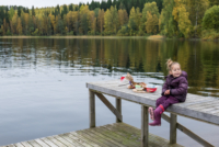 Lac de Pihläjavesi