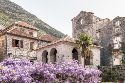 Baie de Kotor // Monténégro