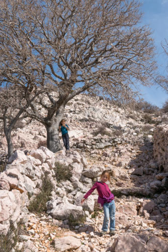 Randonnée de Basko sur l'île de Krk.