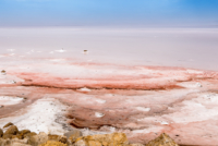 Découverte du lac de sel Tuz-Golu