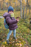 Pallastunturi