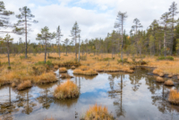 Pallastunturi