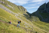 20170824-lofoten 01-00019