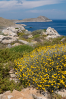 Le sud du Magne, beauté sauvage !