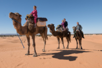 Bivouac dans le Sahara / Erg Chebbi