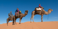Bivouac dans le Sahara / Erg Chebbi