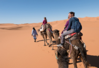 Bivouac dans le Sahara / Erg Chebbi