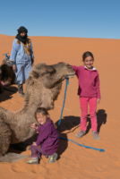 Bivouac dans le Sahara / Erg Chebbi