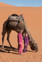 Bivouac dans le Sahara / Erg Chebbi