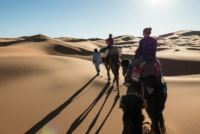 Bivouac dans le Sahara / Erg Chebbi