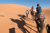 Bivouac dans le Sahara / Erg Chebbi