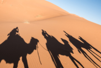 Bivouac dans le Sahara / Erg Chebbi