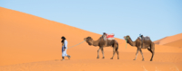 Bivouac dans le Sahara / Erg Chebbi