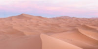 Bivouac dans le Sahara / Erg Chebbi