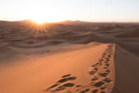 Bivouac dans le Sahara / Erg Chebbi