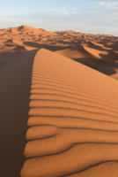 Bivouac dans le Sahara / Erg Chebbi