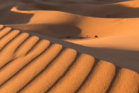 Bivouac dans le Sahara / Erg Chebbi