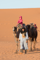 Bivouac dans le Sahara / Erg Chebbi