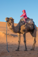 Bivouac dans le Sahara / Erg Chebbi