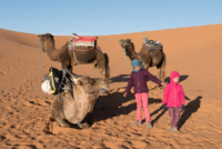 Bivouac dans le Sahara / Erg Chebbi