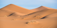 Bivouac dans le Sahara / Erg Chebbi