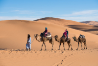 Bivouac dans le Sahara / Erg Chebbi