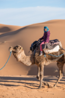 Bivouac dans le Sahara / Erg Chebbi