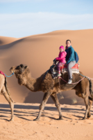 Bivouac dans le Sahara / Erg Chebbi