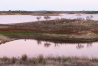 Au sud du lac d'Alqueva