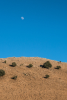 Moyen Atlas  // Maroc