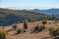 Moyen Atlas // Maroc