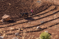 Moyen Atlas // Maroc