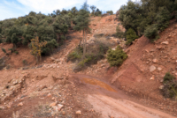 Moyen Atlas // Maroc