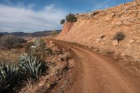 Moyen Atlas // Maroc